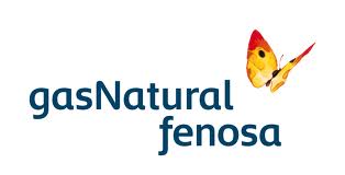 fundación gas fenosa.jpg