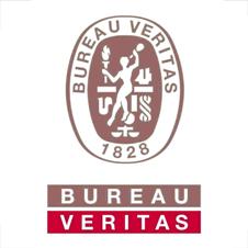 logo BV.JPG